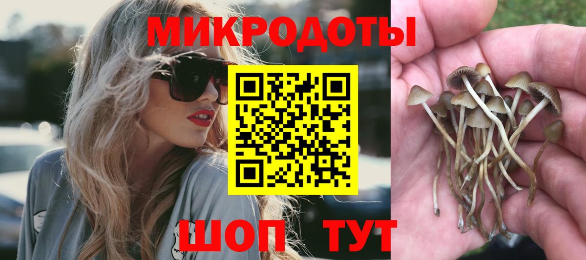 Галлюциногенные грибы Cubensis Унеча